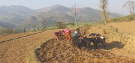 लामो खडेरीले किसान मर्कामा
